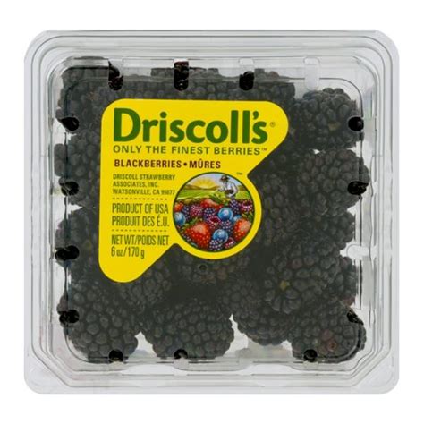 Driscoll's Blackberries | Hy-Vee Aisles Online Grocery Shopping