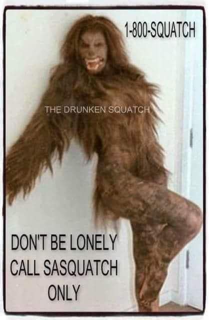 Bigfoot meme | Bigfoot humor, Bigfoot pictures, Real bigfoot pictures