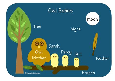 Owl Babies + Woodland - Page 1 - Free Teaching Resources - Print Play Learn