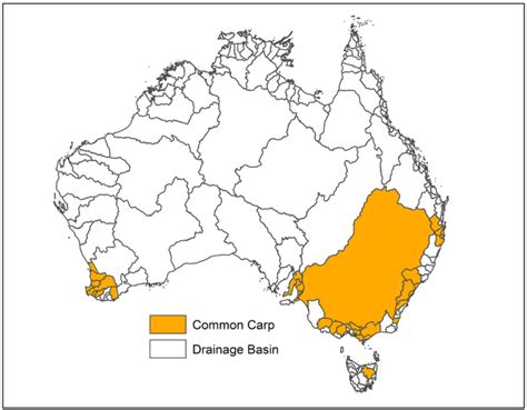 Geographic range of the non-native common carp, Cyprinus carpio, in ...