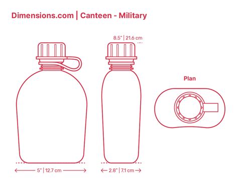 Beverage Can - 12 oz Dimensions & Drawings | Dimensions.com