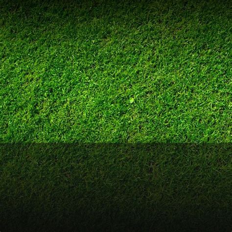 Free Green Grass PowerPoint Background | Powerpoint background ...