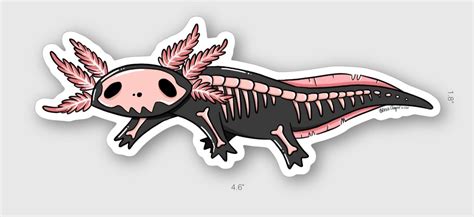 Axolotl Skeleton Sticker | Etsy