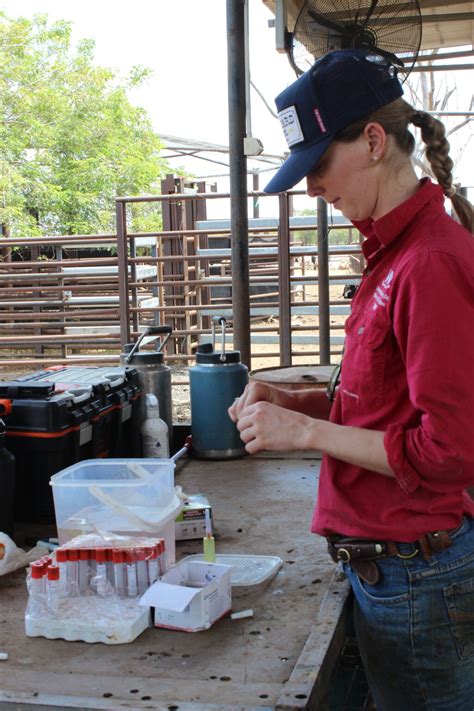 Shoo flies: can fly tags reduce disease transmission from biting ...