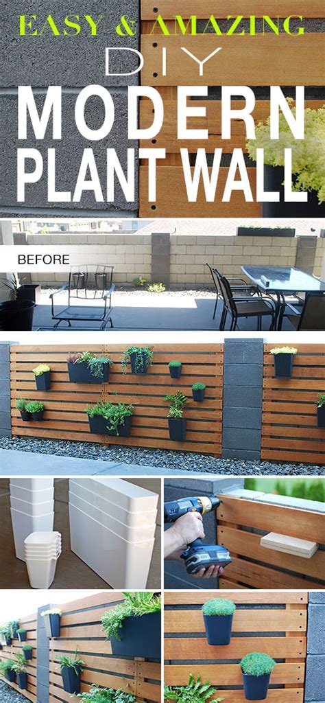 Easy & Amazing Modern DIY Living Plant Wall • The Garden Glove