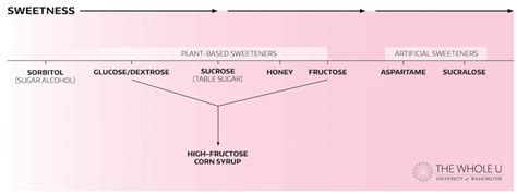 Satisfy Your Sweet Tooth: Alternative Sugars | The Whole U