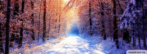 Winter Wonderland Facebook Covers