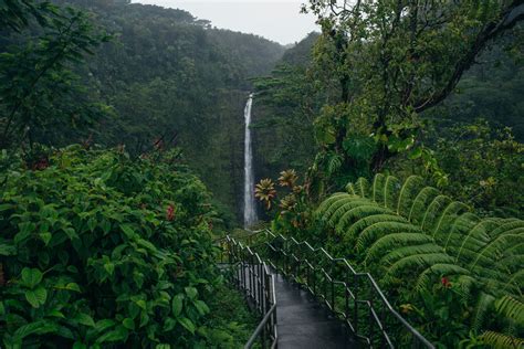 6 Captivating Hawaii Big Island Waterfalls | Insider Families