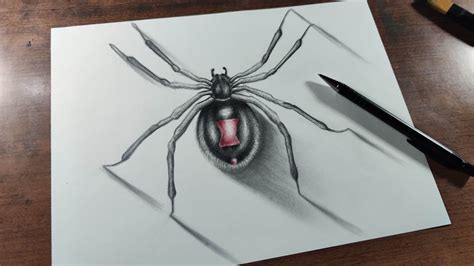 Príncipe Conjugado Mutilar araña dibujo a lapiz crisis Rebobinar bicicleta