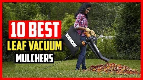 Top 10 Best Leaf Vacuum Mulchers of 2024 - YouTube