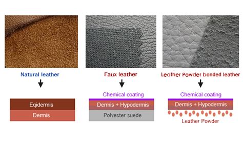 Real leather vs Faux leather | Useful Information