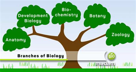 Branches of Biology - Importance of Biology - biomadam