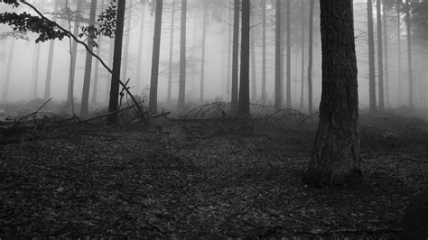 Slenderman Wallpapers - Wallpaper Cave