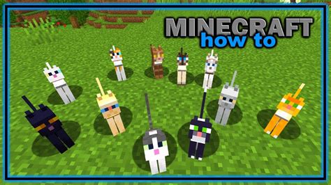 Everything You Need to Know About Cats in Minecraft! | Easy Minecraft ...