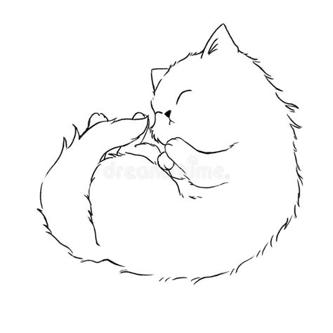 Fluffy Cat Curled Up in a Ball. Line Art for Coloring. Stock ...