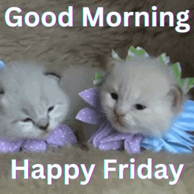 210+ Good Morning Friday Gif Images