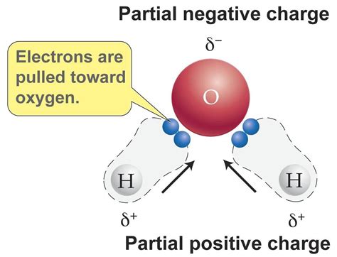 Water Lewis Structure Polarity