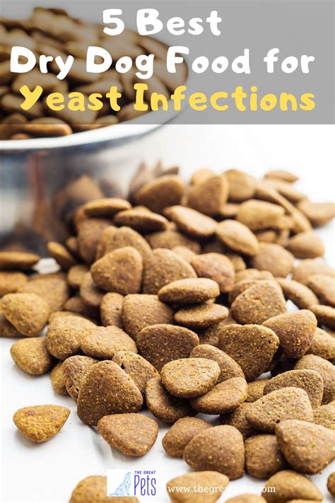 5 Best Dry Dog Food for Yeast Infections in 2020 | Best dry dog food ...