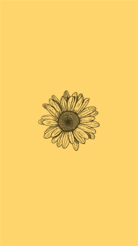 iPhone Aesthetic Sunflower Wallpaper Free Download