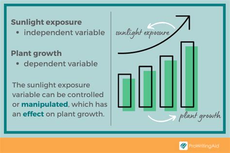 Dependent Variable: Definition and Examples