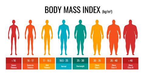 BMI classification chart measurement man set. Male Body Mass Index ...