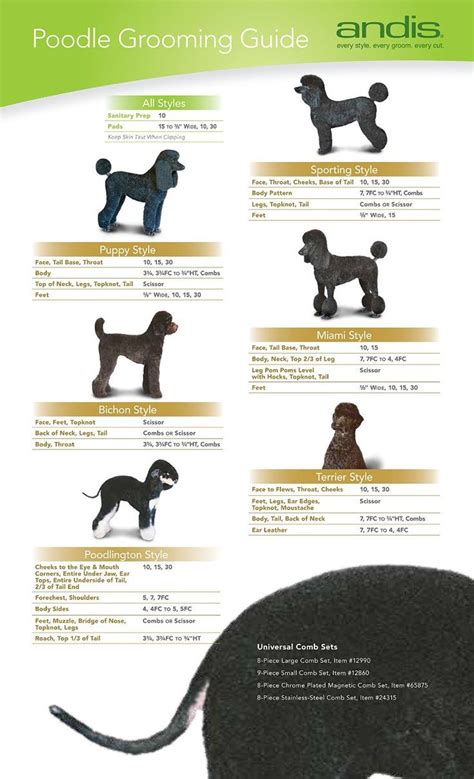 Pet Dog Clipper Fundamentals – Tips For Picking Canine Clippers ...