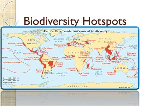 PPT - Biodiversity Hotspots PowerPoint Presentation, free download - ID ...