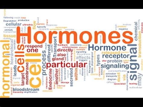 Role of Hormones in Mammogenesis - YouTube