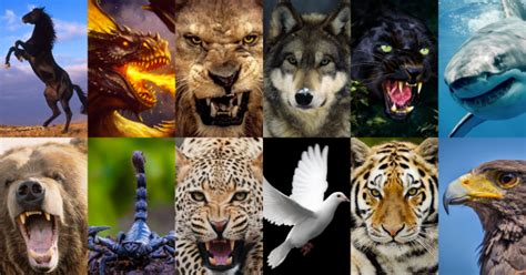 This is What Your Birth Animal Reveals About Your Personality