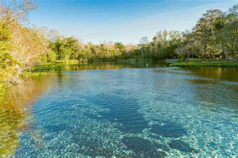 Alexander Springs + Nearby Places to Eat, Stay, & Shop • Authentic Florida