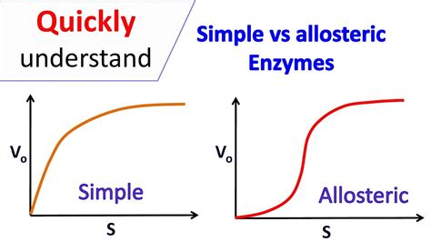 Simple enzymes vs Allosteric enzymes - YouTube