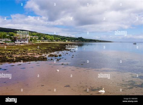 Lamlash Bay No Take zone (NTZ) established to protect Maerl beds and ...