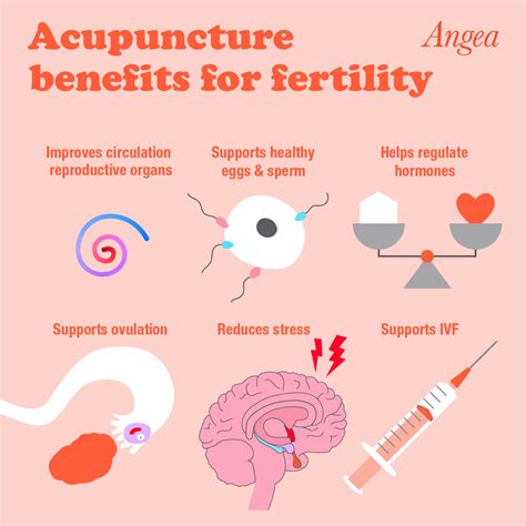 How Does Acupuncture Actually Increase Fertility? - Angea