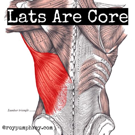 Lats are Core: Engage the Lats to Create TRUNK Superstiffness