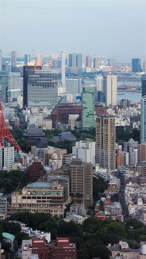 Tokyo Cityscape & Tokyo Tower - backiee