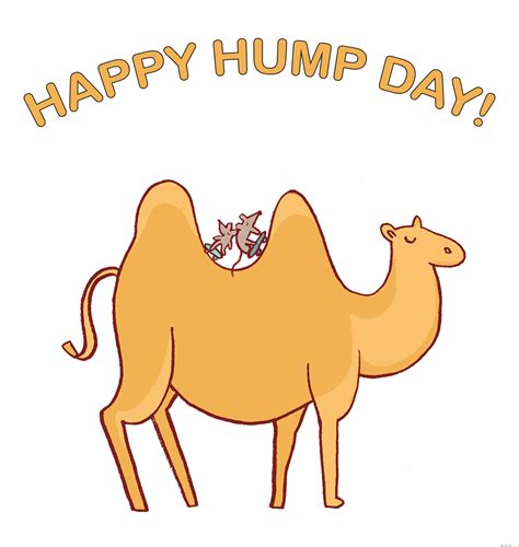 Hump Day Wednesday Gif