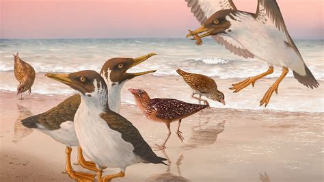 How a 67-Million-Year-Old Fossil Turned the Theory of Bird Evolution ...