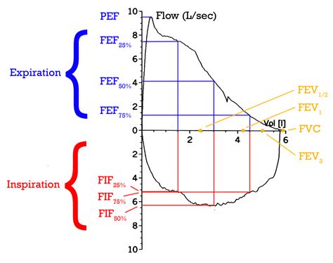 fev1