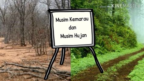 Mengenal Musim Kemarau dan Musim Hujan - YouTube