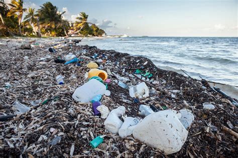 Drowning in Garbage: Oceans May Have More Plastics Than Fish in a Few ...