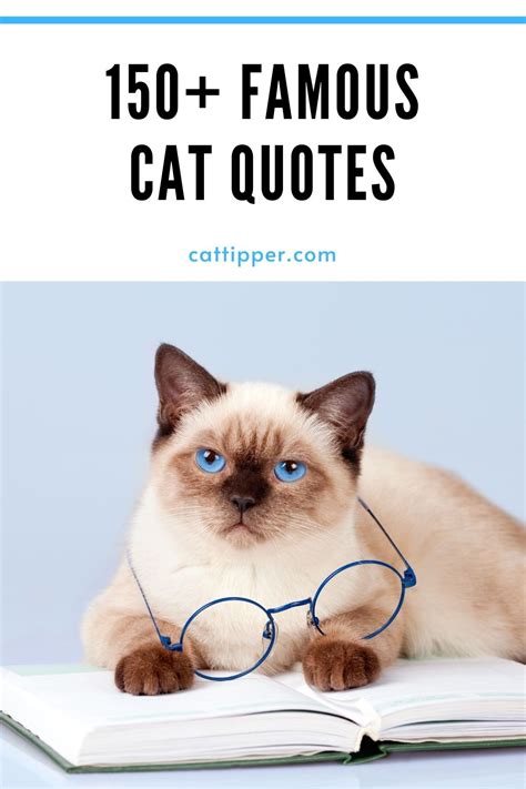 150+ Famous Cat Quotes to Make Cat Lovers Purr!