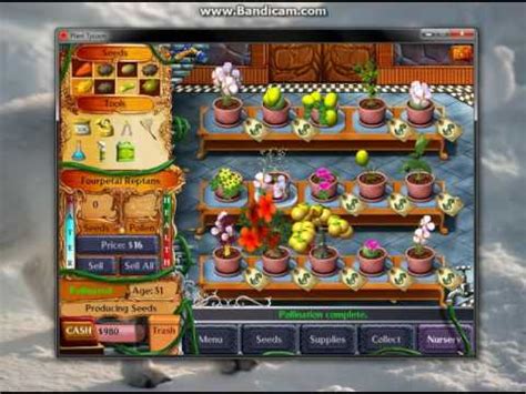 Plant tycoon magic plants - ailasopa