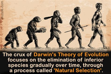 Charles Darwin: An Introduction to the Theory of Evolution - Biology Wise