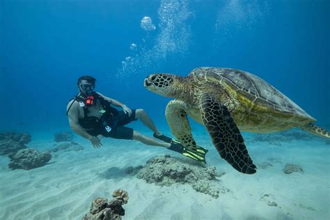 Waikiki: Oahu Discovery Scuba Diving for Beginners in Hawaii | My Guide ...