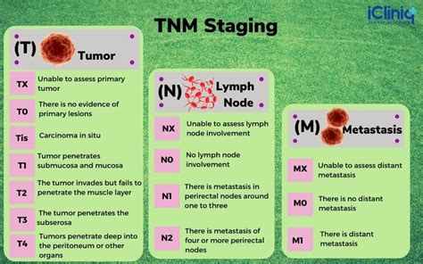 What Is the Importance of Cancer Staging?