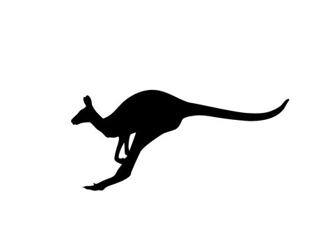 Kangaroo Silhouette at GetDrawings | Free download