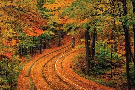 The Best Spots To Enjoy Michigan’s Feast Of Fall Foliage