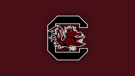 South Carolina Gamecocks Wallpapers - Top Free South Carolina Gamecocks ...