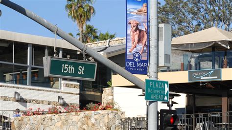 Del Mar Dog Beach A Local San Diego Favorite | The Carmel Valley Life