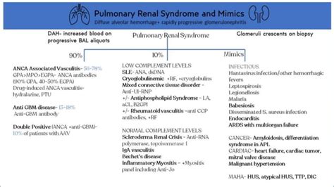 Pulmonary renal syndrome by Dr Bharat Rewaria | PPT